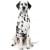 Далматин одежда  для собак купить в , большие размеры для средних и крупных пород, одежда для мелких пород